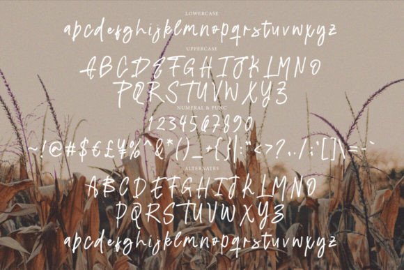 Diravest Brush Font - Preview 6