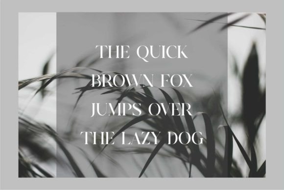 Grafing Font - Preview 4