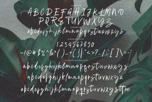 Greminal Signature Font - Preview 5