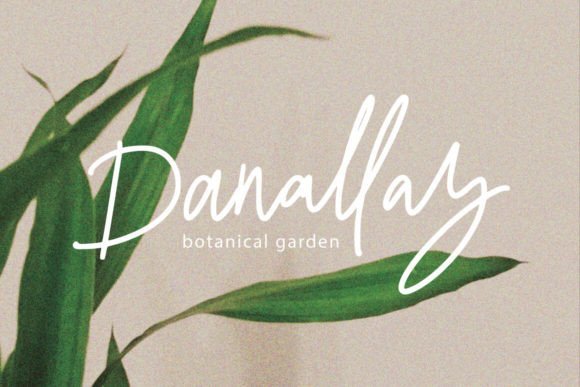 Memossay Font PNG with transparent background - Preview 3