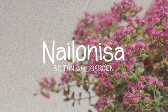 Rafiken Display Font PNG with transparent background - Preview 5