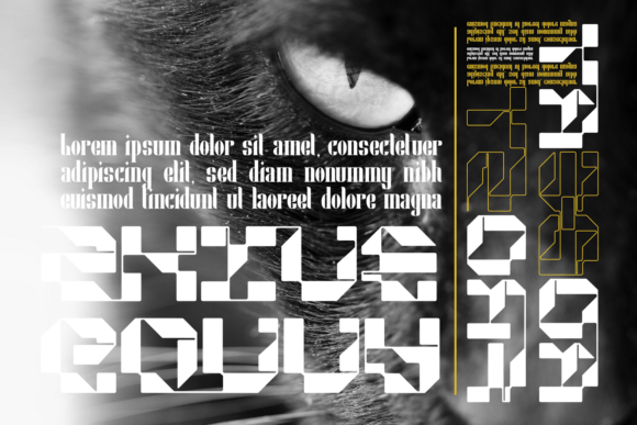 Acoprot Display Font - Preview 2