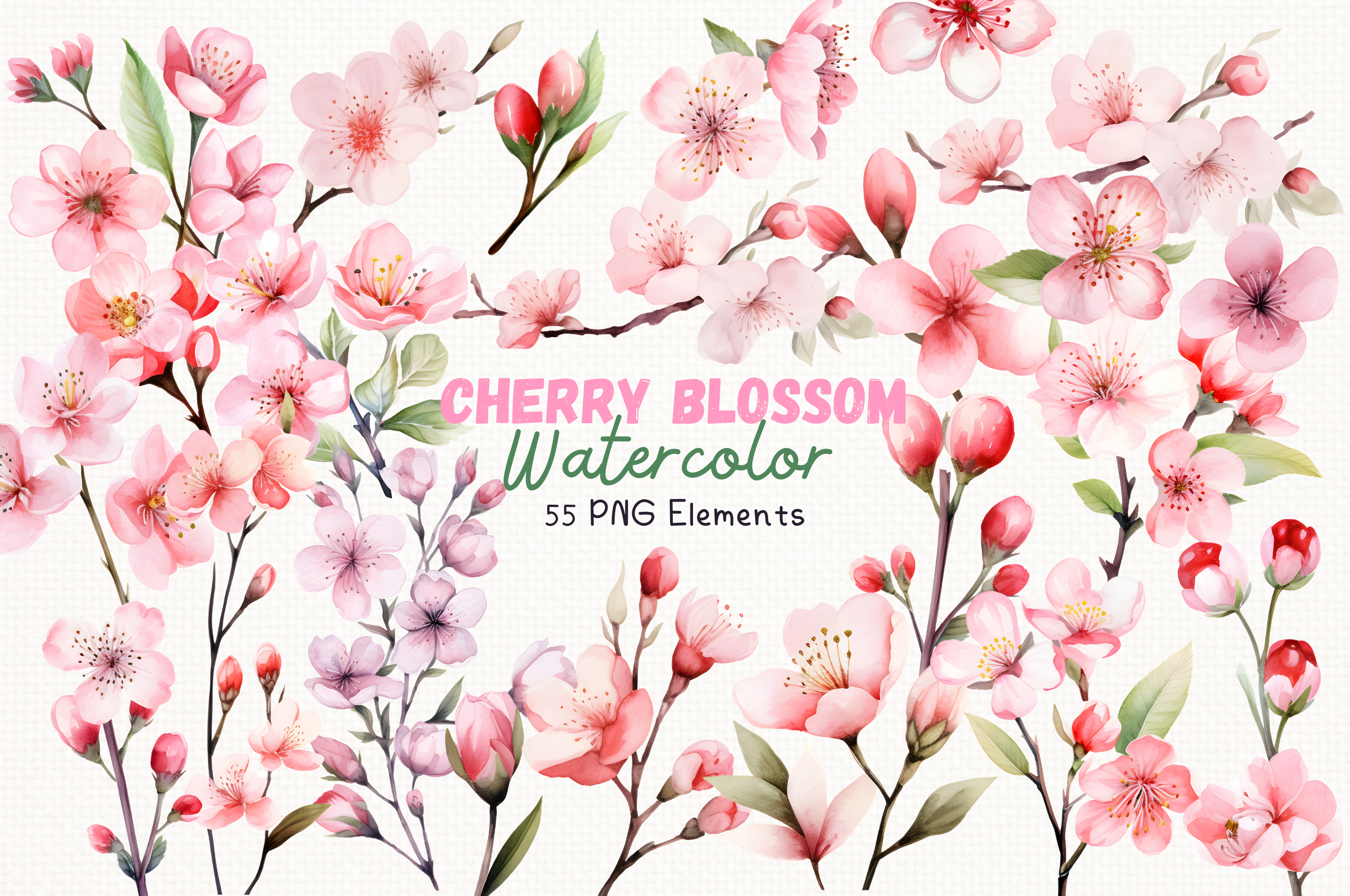 Cherry Blossom Watercolor 55 Cliparts Graphic by achiraya_joe ...
