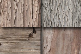 Tree Bark Textures Digital Paper Graphic by srempire · Creative Fabrica