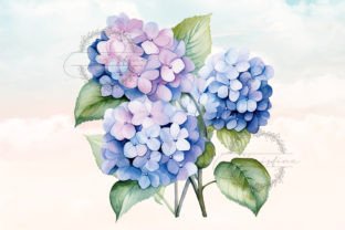Hydrangea Watercolor Clipart Graphic by christina.clipart · Creative ...