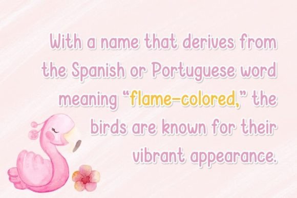 Beautiful Flamingo Font PNG with transparent background - Preview 1