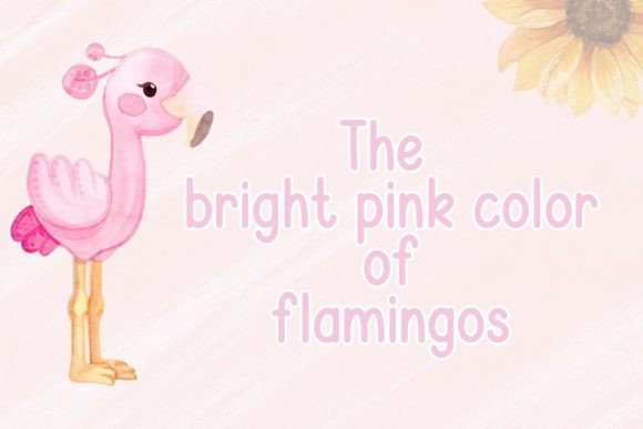 Beautiful Flamingo Font PNG with transparent background - Preview 2