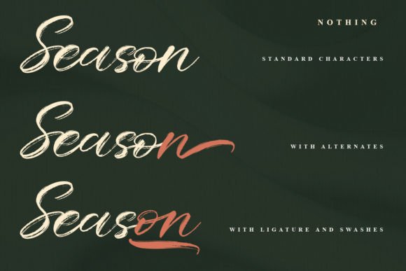 Nothing Font PNG with transparent background - Preview 1