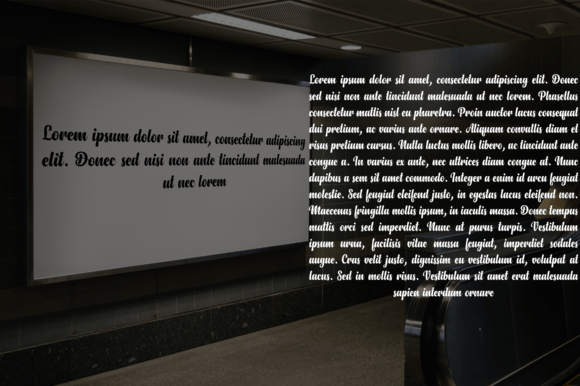 Claudina Font - Preview 1
