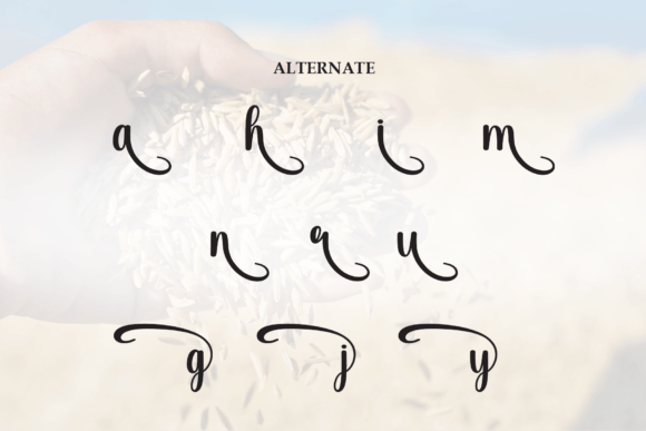 Rice Drying Font PNG with transparent background - Preview 6