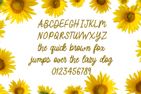 August Vibes Font - Preview 1