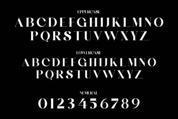 Belingham Font - Preview 5