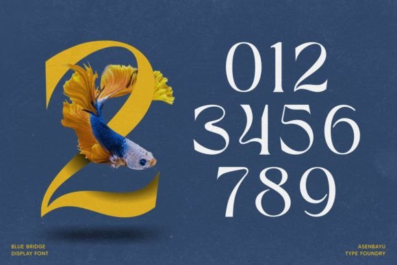 Blue Bridge Font - Preview 5