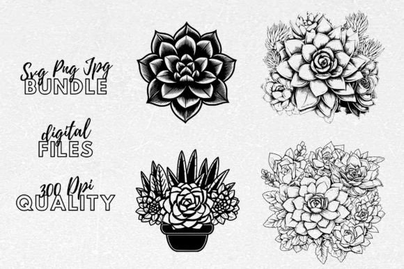 succulents in terrarium Open Succulent terrarium - DIY kit