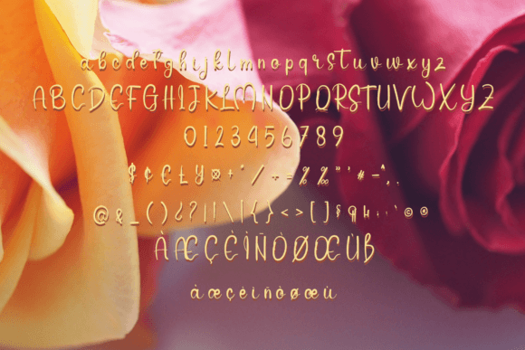 Amarta Font - Preview 5