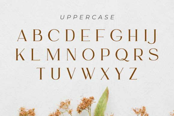 Ammira Font - Preview 2