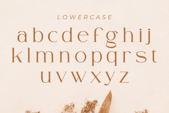 Ammira Font - Preview 3