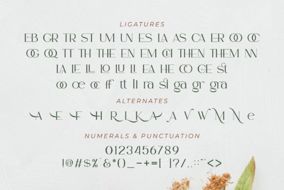Ammira Font - Preview 4