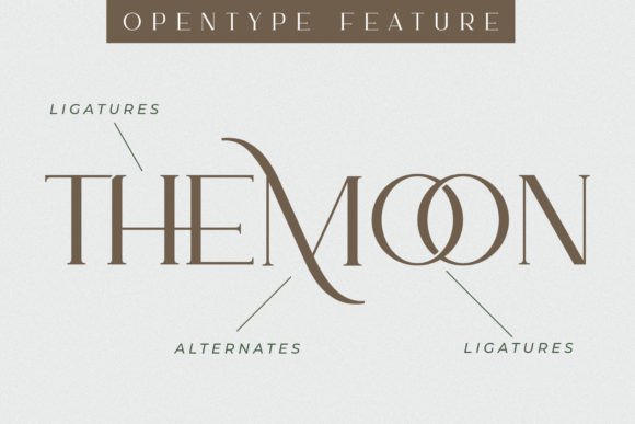 Ammira Font - Preview 5