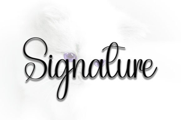 Beloved Font - Preview 3