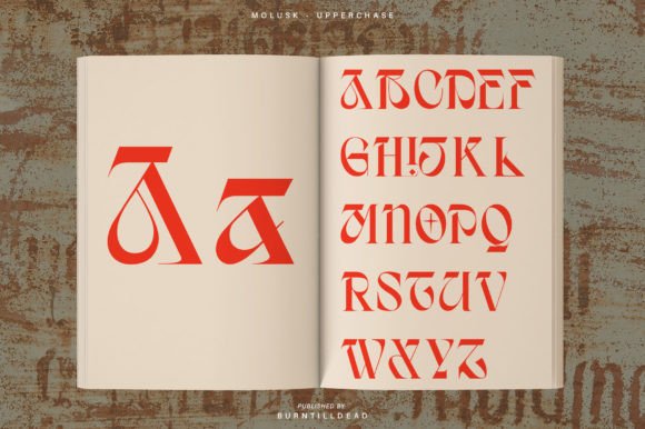 Molusk Font PNG with transparent background - Preview 2