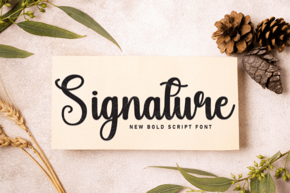 Beach Boys Font - Preview 3