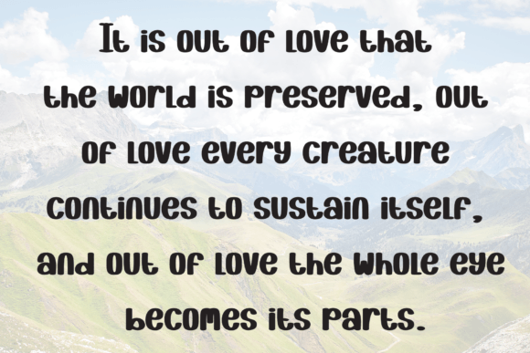 Equine Font - Preview 4