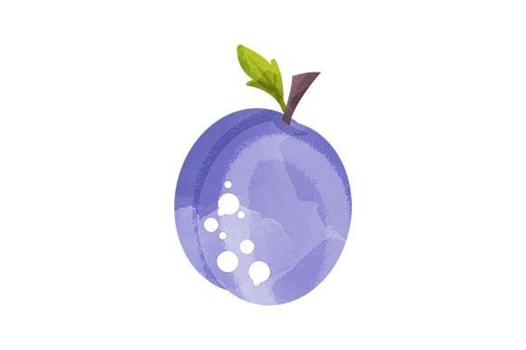 Plum - Watercolor