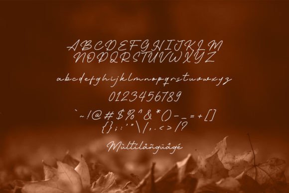 Autumn Wind Font - Preview 5