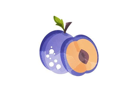Plums - Watercolor