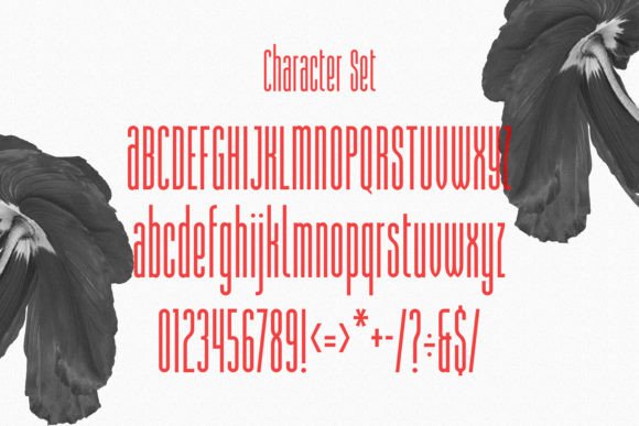 Kyosta Font PNG with transparent background - Preview 6