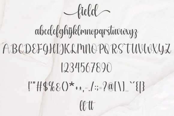 Field Font - Preview 5