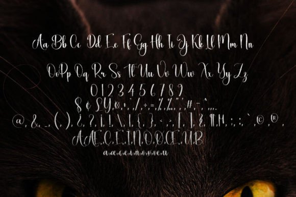 Animal Font - Preview 5