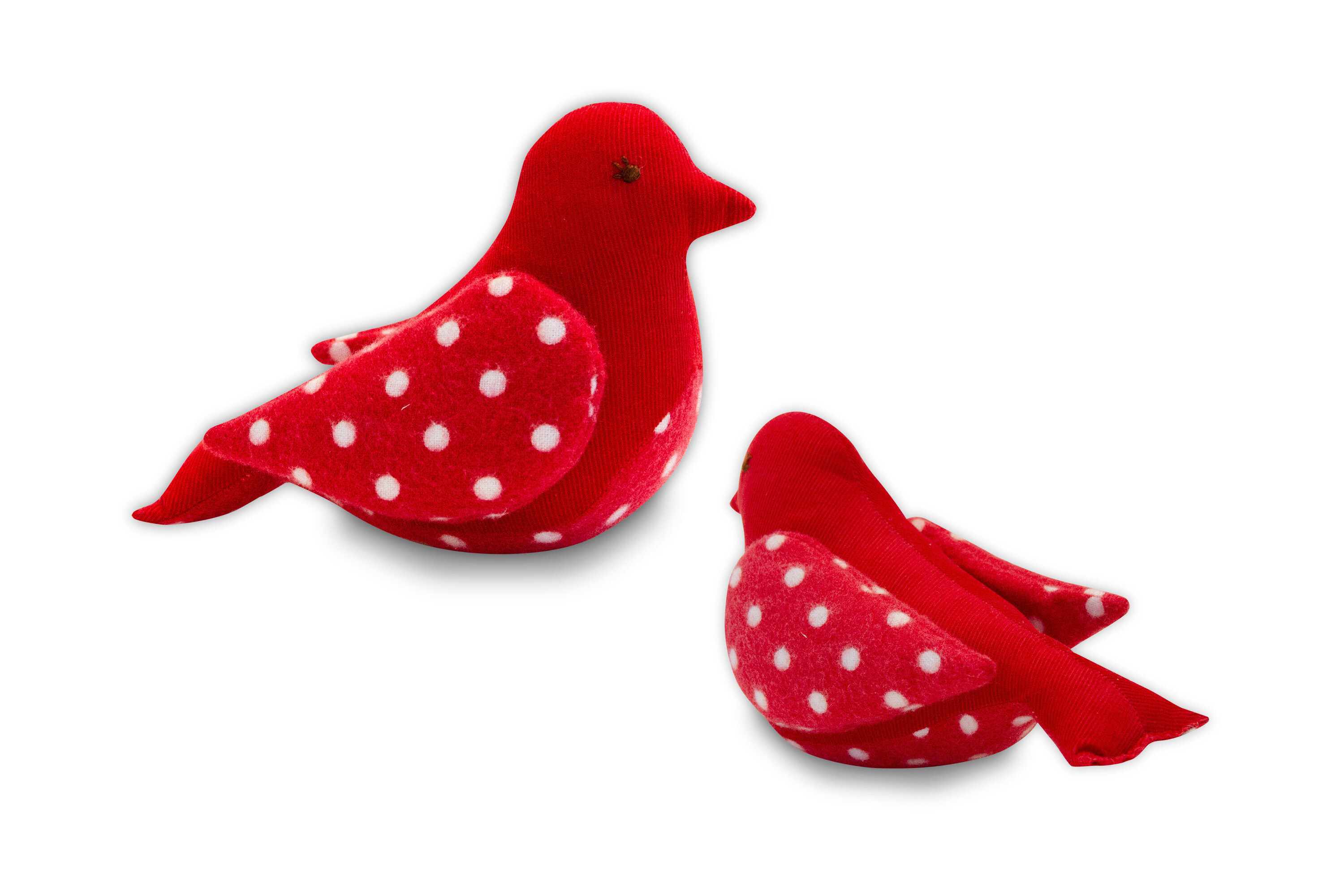 Bella Bird