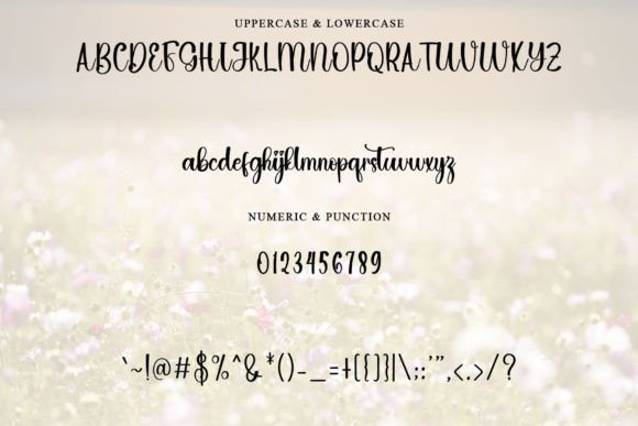 Hello Family Font - Preview 5