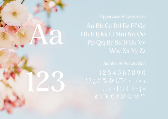 Bunga Zivilia Font - Preview 4