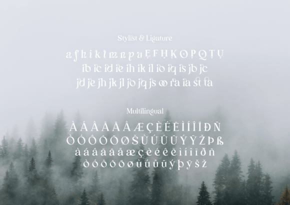 Bunga Zivilia Font - Preview 5