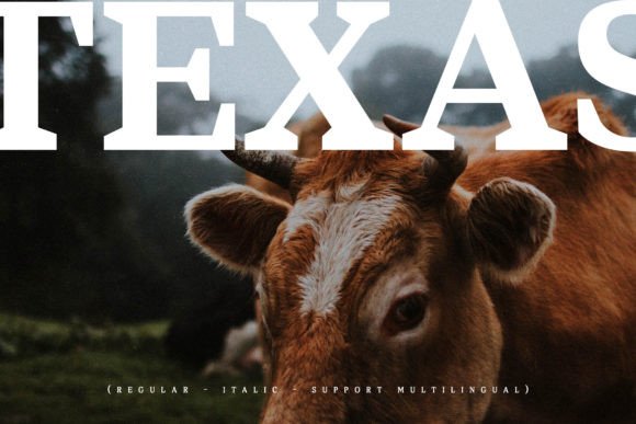 Bartone Font - Preview 5