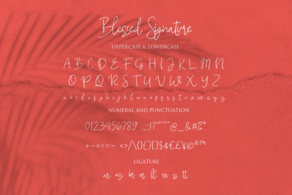 Blessed Signature Font - Preview 5