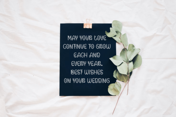 Ruth Pams Font PNG with transparent background - Preview 2