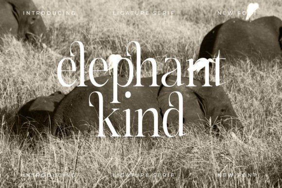 Cathiren Font - Preview 5
