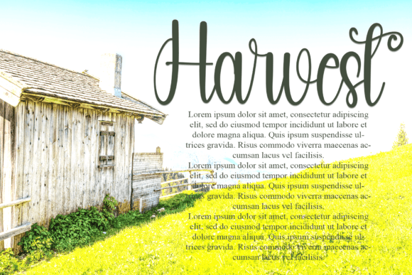 Farmhouse Font - Preview 6