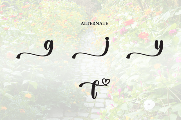 Plenty Font PNG with transparent background - Preview 6