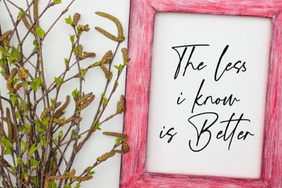 Blushfarms Font - Preview 6