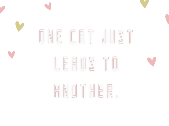 Border Font - Preview 3