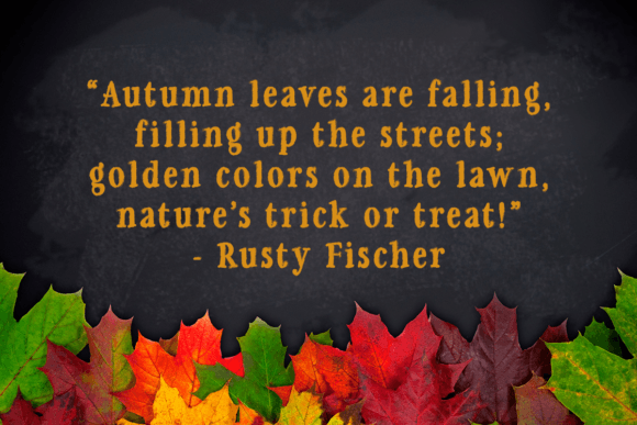 Falling for Autumn Font - Preview 4