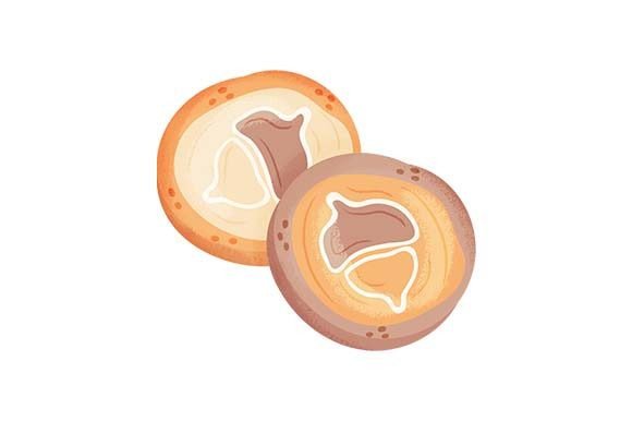 Acorn Cookies - Watercolor