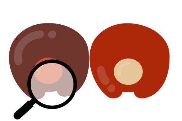 Autumn Dot Font - Preview 5