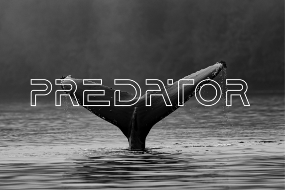 Balaeno Inline Font - Preview 1