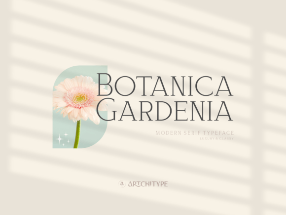 Bloomy Korea Font - Preview 1